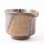 Image1